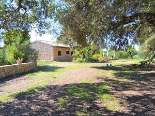 Cottage Búger Outdoor Recording 9