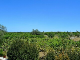 Cottage Sineu Environment 26