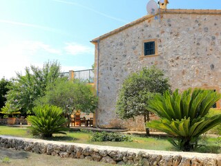 Cottage Sineu Outdoor Recording 6