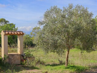 Landhaus Llubi Umgebung 33