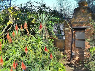 Cottage Alcudia Outdoor Recording 4