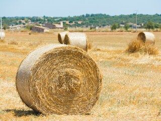 Cottage Sa Pobla  56