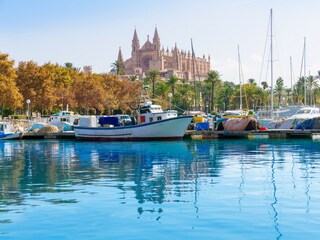 Landhaus Sa Pobla  59