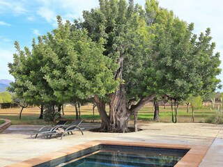 Cottage Consell Outdoor Recording 10