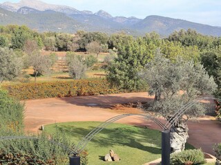 Cottage Consell Environment 45