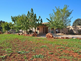 Cottage Muro Environment 25