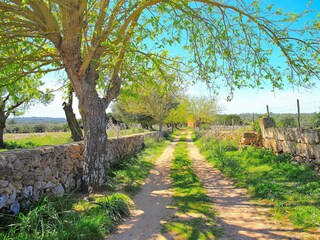 Cottage Son Serra de Marina Outdoor Recording 9