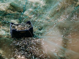 Appartamento per vacanze Diano San Pietro Ambiente 19