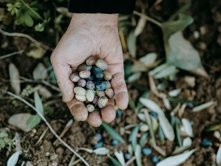 Appartamento per vacanze Diano San Pietro Ambiente 22
