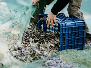 Appartamento per vacanze Diano San Pietro Ambiente 23