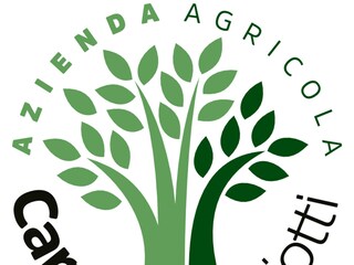 Appartamento per vacanze Diano San Pietro Documento 27