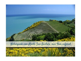 Casa de vacaciones Cattolica Características 23