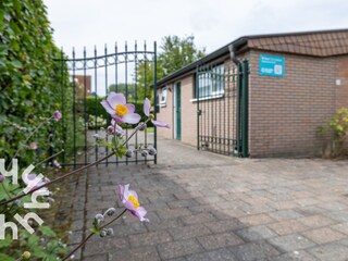 Bungalow Veere Ambiente 32