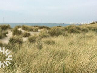 Bungalow Veere Ambiente 34