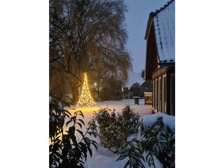 Zur Weichnachtszeit großer Lichterbaum im Garten