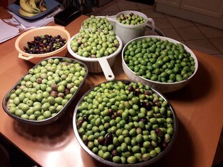 Appartamento Portorož Caratteristiche 23