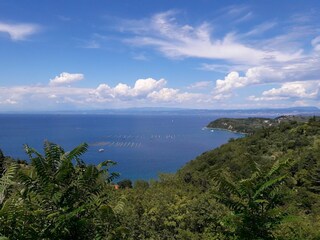 Apartamento Portorož Entorno 30