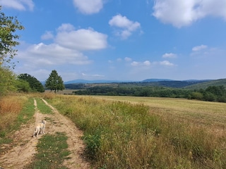 Holiday house Zebegény Environment 30