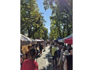 Holiday house Zebegény Environment 32