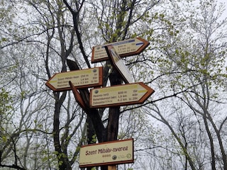 Holiday house Zebegény Environment 34