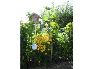 Vakantieappartement Egg in Vorarlberg Buitenaudio-opname 4