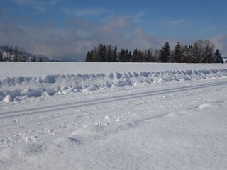 Appartamento per vacanze Egg in Vorarlberg Ambiente 25