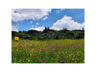 Appartamento per vacanze Egg in Vorarlberg Ambiente 31