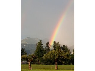 Vakantieappartement Egg in Vorarlberg Omgeving 32