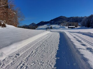 Vakantieappartement Egg in Vorarlberg Omgeving 26