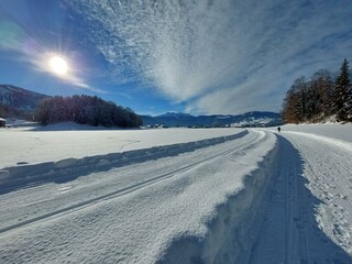 Vakantieappartement Egg in Vorarlberg Omgeving 27
