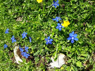 Appartamento per vacanze Egg in Vorarlberg Registrazione all'aperto 5