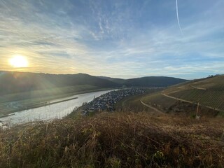 The Moselle