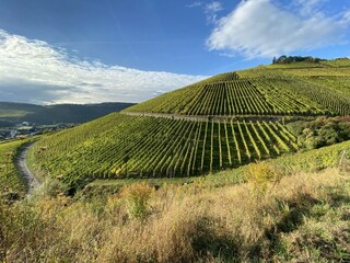 Casa per le vacanze Ediger-Eller Registrazione all'aperto 3