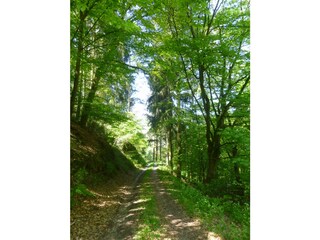 Apartamento de vacaciones Traben-Trarbach Entorno 33