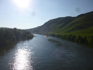 Radweg an der Mosel zw. Traben-Trarbach und Bernkastel