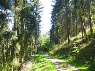 Apartamento de vacaciones Traben-Trarbach Entorno 34