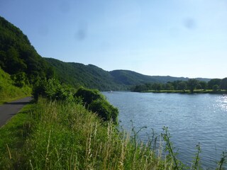 Apartamento de vacaciones Traben-Trarbach Entorno 29