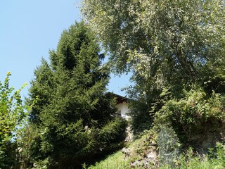 Appartamento per vacanze Cavaglio-Spoccia Registrazione all'aperto 6