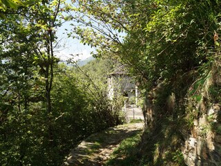 Appartamento per vacanze Cavaglio-Spoccia Ambiente 19