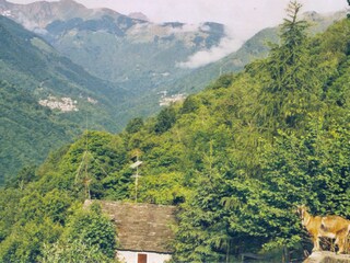 Appartamento per vacanze Cavaglio-Spoccia Ambiente 18