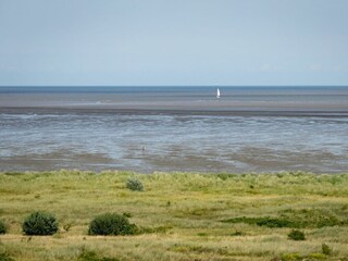 Wattenmeer
