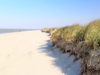 weißer Strand mit Dünen