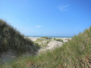 zwischen den Dünen