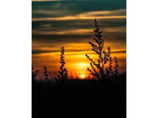 Landschaft