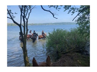 Am Kellersee auf einem Ausritt