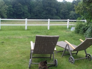 Entspannung im Garten!