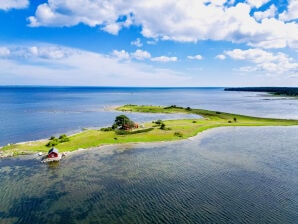 Ferienhaus auf eigener Halbinsel im Meer (50) - Kalmar - image1