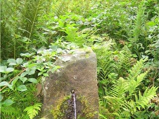 Brunnen am Wanderweg