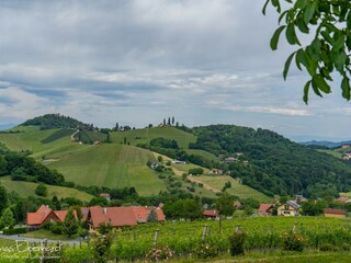 Appartamento per vacanze Nestelbach bei Graz Ambiente 14