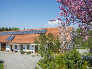 Appartamento per vacanze Nestelbach bei Graz Registrazione all'aperto 7